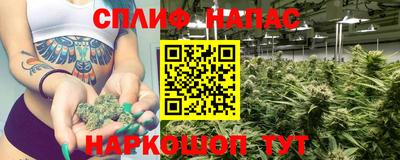 ALPHA PVP Моздок