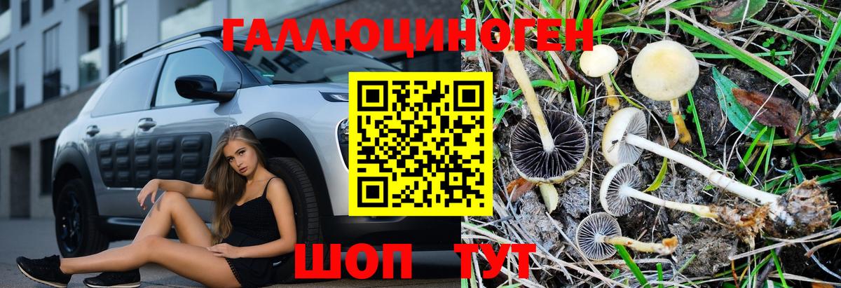 Жигулёвск  Галлюциногенные грибы Psilocybine cubensis  Псилоцибиновые грибы MAGIC MUSHROOMS  Вход с VPN 